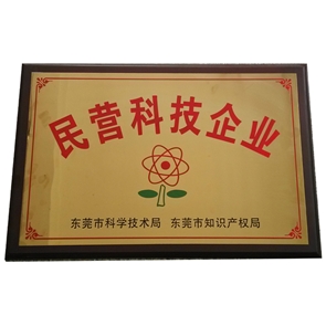 民營科技企業(yè)